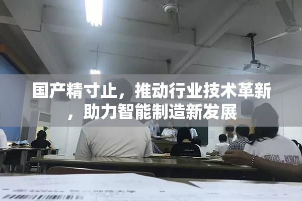 国产精寸止，推动行业技术革新，助力智能制造新发展