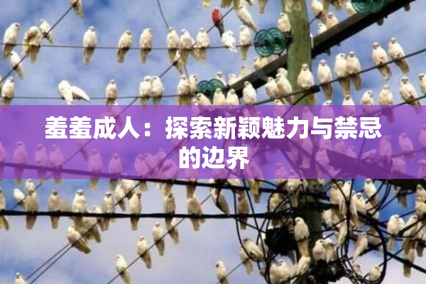 羞羞成人：探索新颖魅力与禁忌的边界