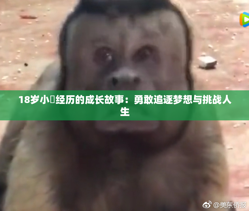 18岁小泬经历的成长故事：勇敢追逐梦想与挑战人生