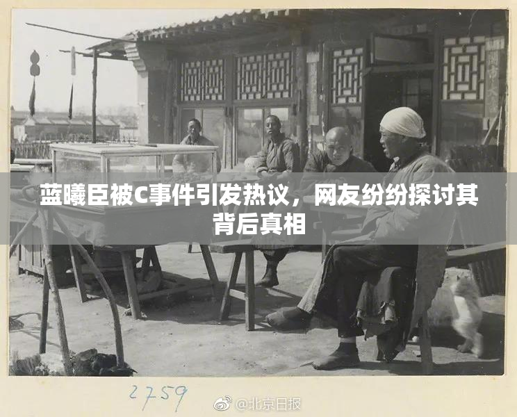 蓝曦臣被C事件引发热议，网友纷纷探讨其背后真相