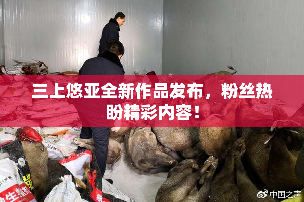 三上悠亚全新作品发布，粉丝热盼精彩内容！