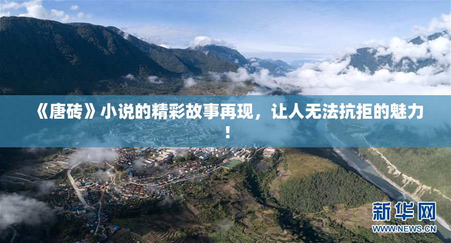 《唐砖》小说的精彩故事再现，让人无法抗拒的魅力！