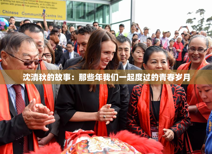 沈清秋的故事：那些年我们一起度过的青春岁月
