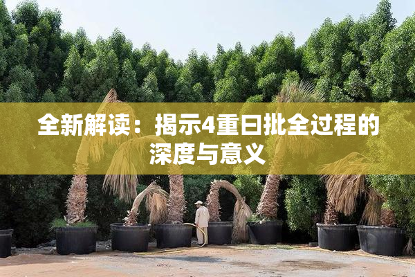 全新解读：揭示4重曰批全过程的深度与意义