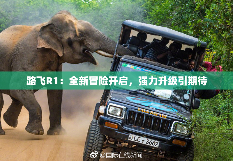 路飞R1：全新冒险开启，强力升级引期待