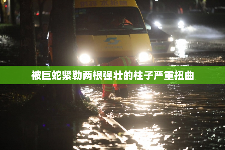 被巨蛇紧勒两根强壮的柱子严重扭曲