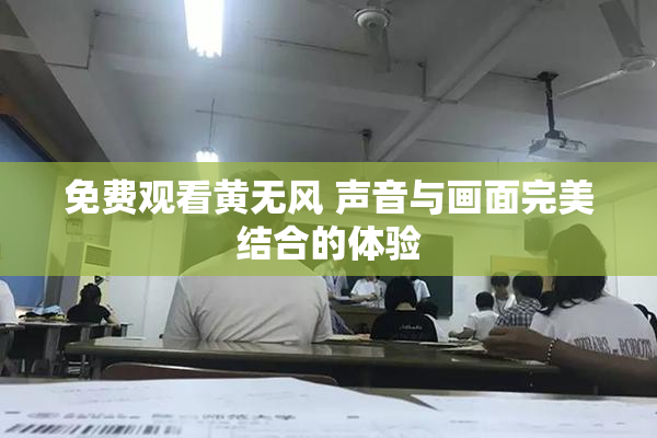 免费观看黄无风 声音与画面完美结合的体验