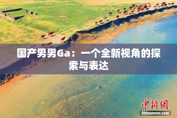 国产男男Ga：一个全新视角的探索与表达