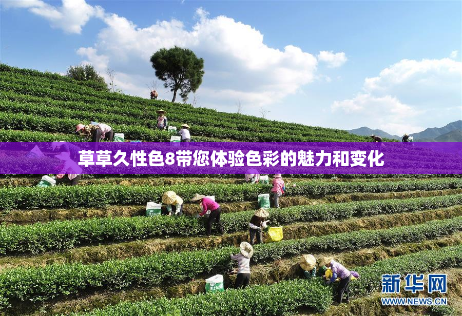 草草久性色8带您体验色彩的魅力和变化