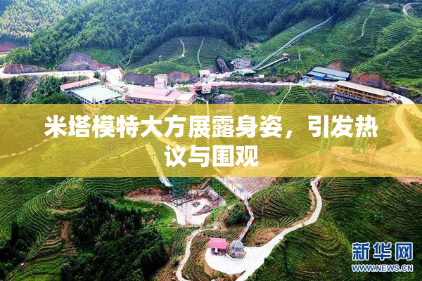 米塔模特大方展露身姿，引发热议与围观