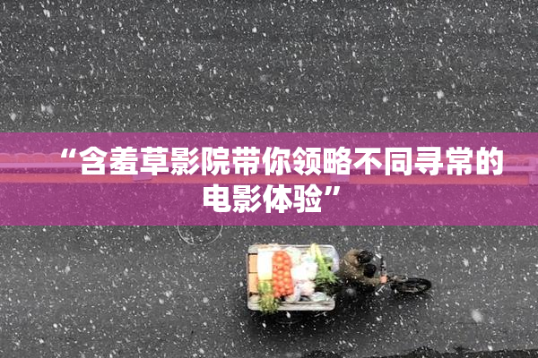 “含羞草影院带你领略不同寻常的电影体验”