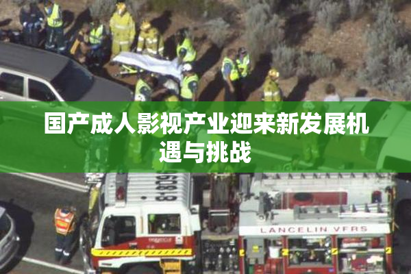 国产成人影视产业迎来新发展机遇与挑战
