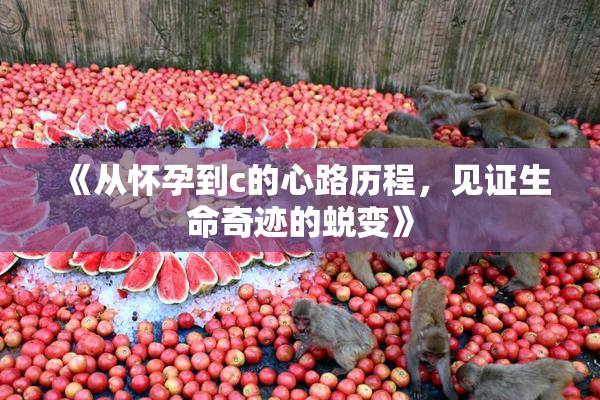 《从怀孕到c的心路历程，见证生命奇迹的蜕变》