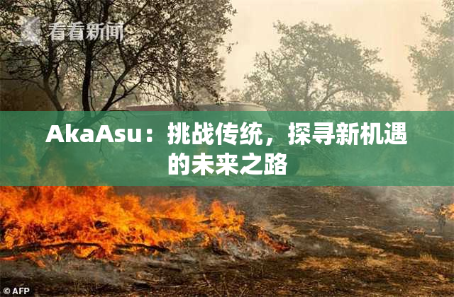 AkaAsu：挑战传统，探寻新机遇的未来之路