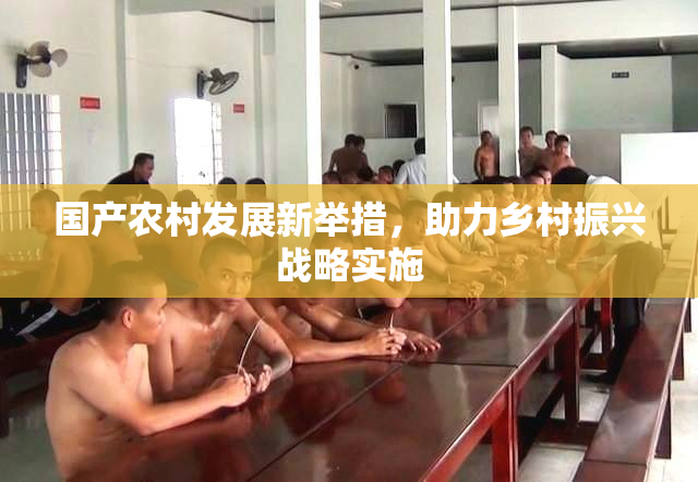国产农村发展新举措，助力乡村振兴战略实施