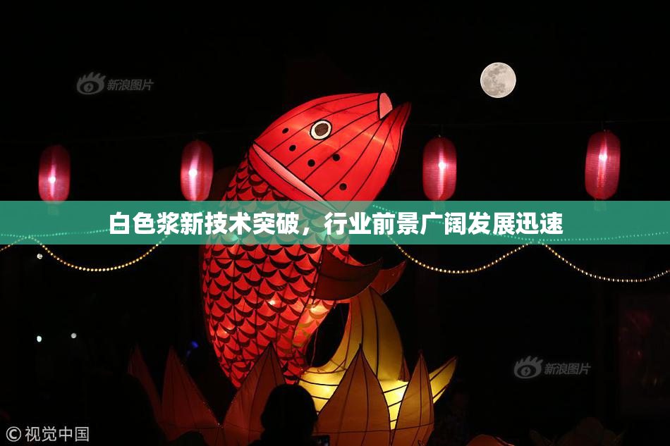白色浆新技术突破，行业前景广阔发展迅速