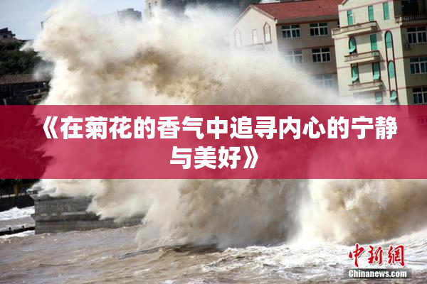 《在菊花的香气中追寻内心的宁静与美好》