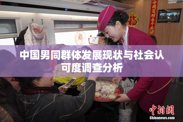 中国男同群体发展现状与社会认可度调查分析