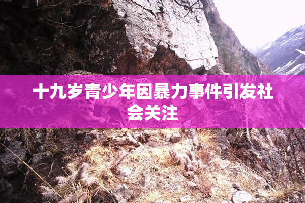 十九岁青少年因暴力事件引发社会关注