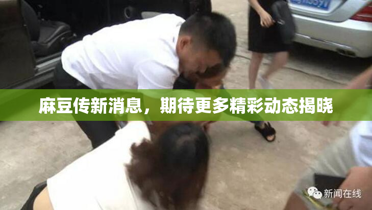 麻豆传新消息，期待更多精彩动态揭晓