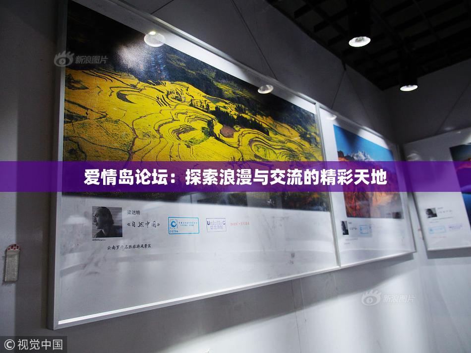 爱情岛论坛：探索浪漫与交流的精彩天地