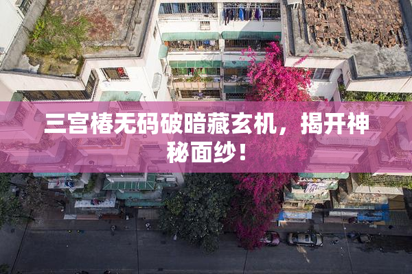 三宫椿无码破暗藏玄机，揭开神秘面纱！