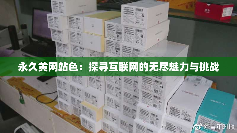永久黄网站色：探寻互联网的无尽魅力与挑战