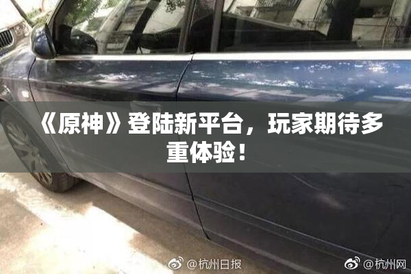 《原神》登陆新平台，玩家期待多重体验！