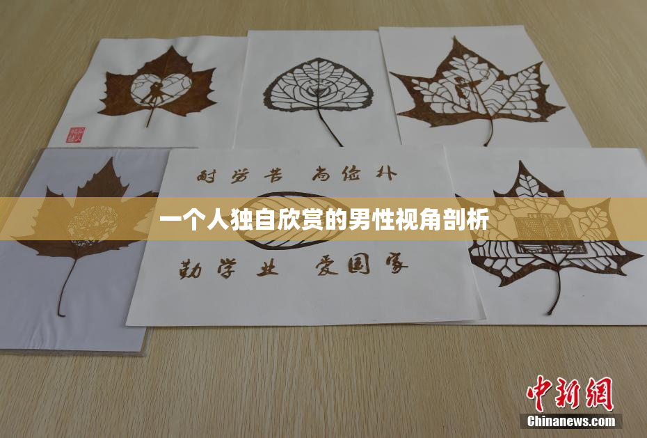 一个人独自欣赏的男性视角剖析