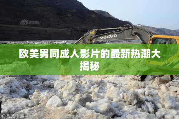 欧美男同成人影片的最新热潮大揭秘