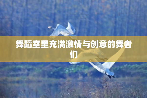 舞蹈室里充满激情与创意的舞者们