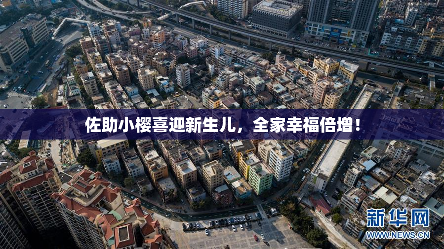 佐助小樱喜迎新生儿，全家幸福倍增！