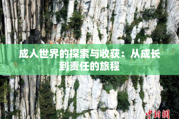 成人世界的探索与收获：从成长到责任的旅程