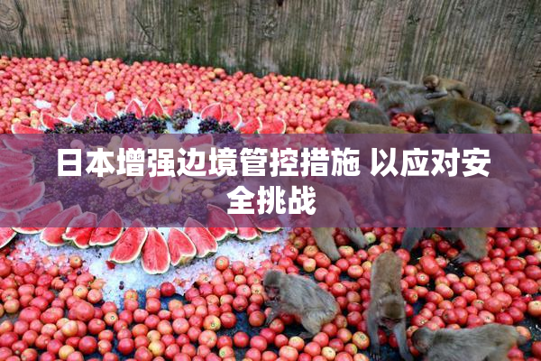 日本增强边境管控措施 以应对安全挑战