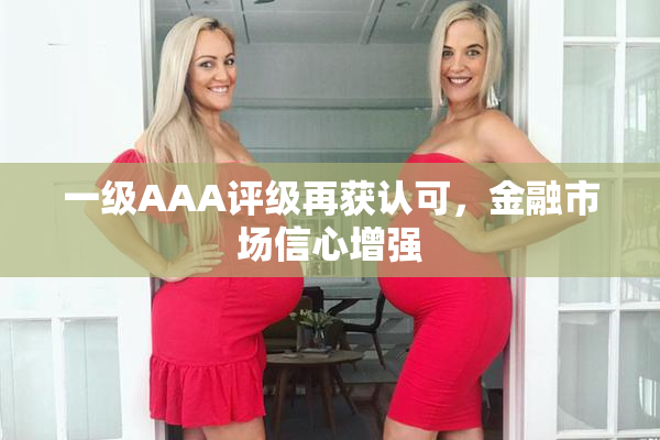 一级AAA评级再获认可，金融市场信心增强