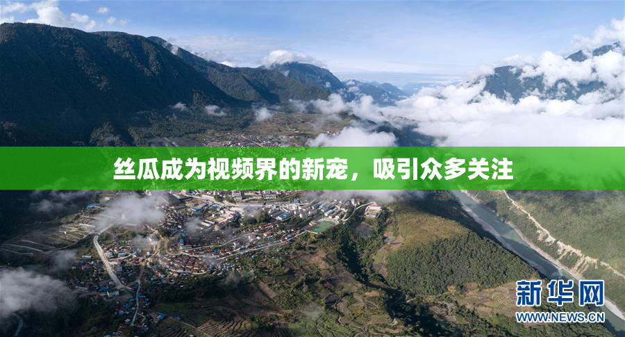 丝瓜成为视频界的新宠，吸引众多关注