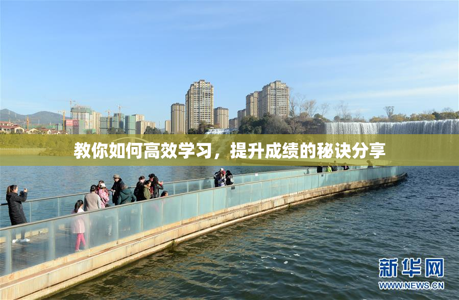 教你如何高效学习，提升成绩的秘诀分享