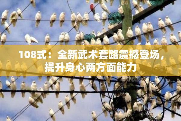 108式：全新武术套路震撼登场，提升身心两方面能力