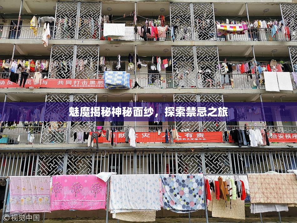 魅魔揭秘神秘面纱，探索禁忌之旅