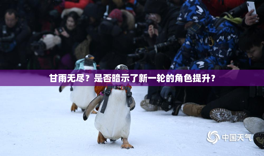 甘雨无尽？是否暗示了新一轮的角色提升？
