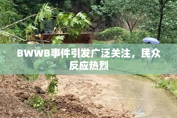 BWWB事件引发广泛关注，民众反应热烈