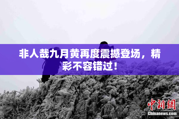 非人哉九月黄再度震撼登场，精彩不容错过！