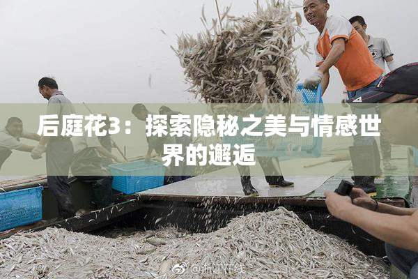 后庭花3：探索隐秘之美与情感世界的邂逅