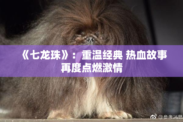 《七龙珠》：重温经典 热血故事再度点燃激情