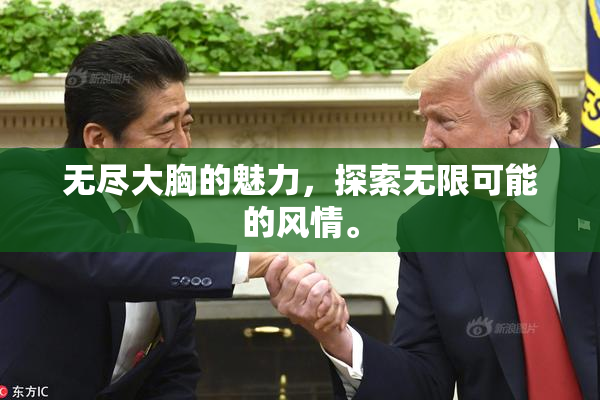 无尽大胸的魅力，探索无限可能的风情。
