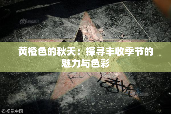 黄橙色的秋天：探寻丰收季节的魅力与色彩