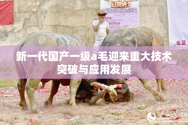 新一代国产一级a毛迎来重大技术突破与应用发展