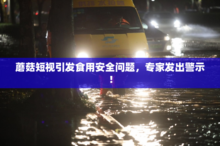 蘑菇短视引发食用安全问题，专家发出警示！