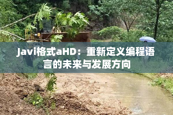 Javi格式aHD：重新定义编程语言的未来与发展方向