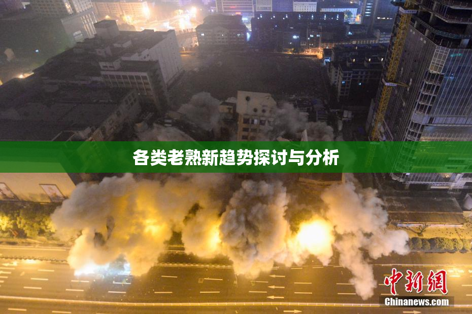 各类老熟新趋势探讨与分析